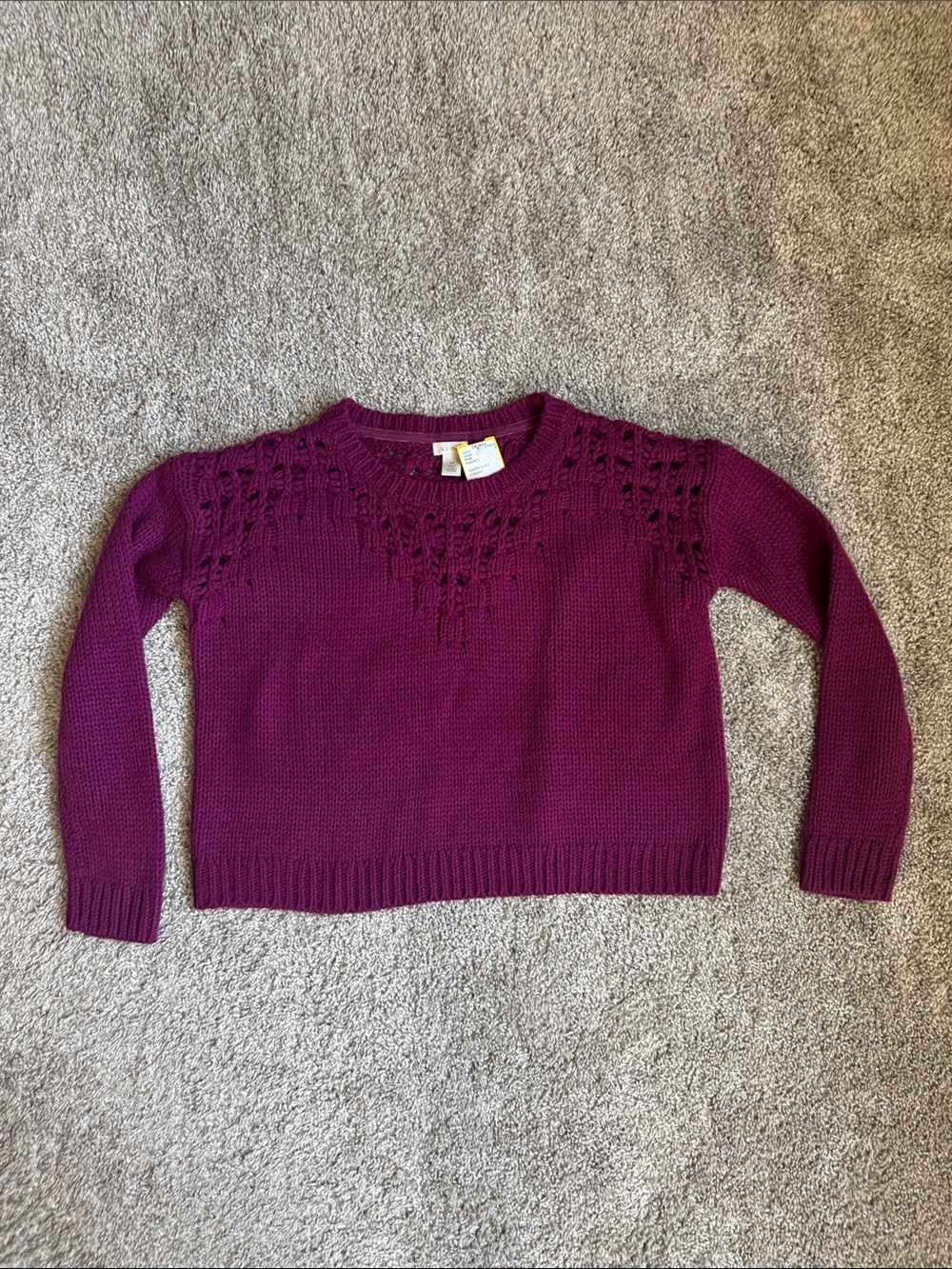 Hinge Crewneck Sweater with Openwork Yoke Cropped